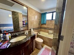 Dover Parkview (D5), Condominium #453294911